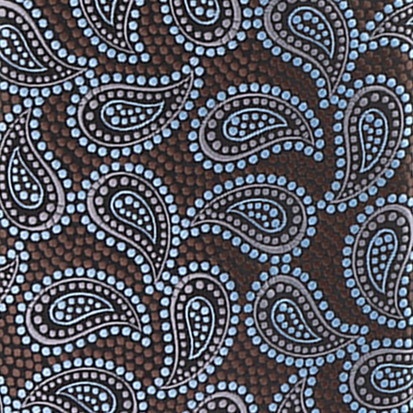 Vittorio Farina Men's Paisley Design Necktie & Pocket Square