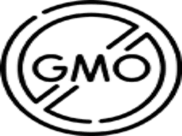 Nourishing Organic Body Lotion for Women – 11 Natural Fragrances - Concordia Style Boutique