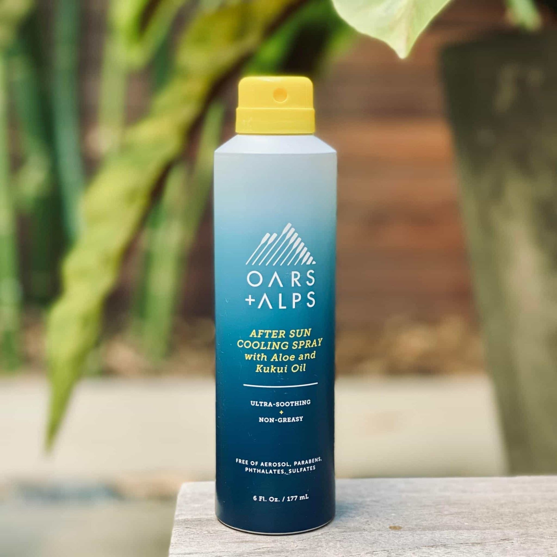 After Sun Cooling Spray - Concordia Style Boutique