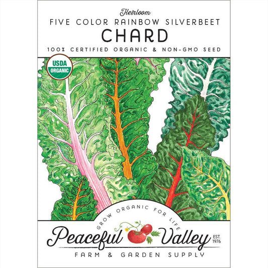 Five Color Silverbeet Chard Seeds (Organic)