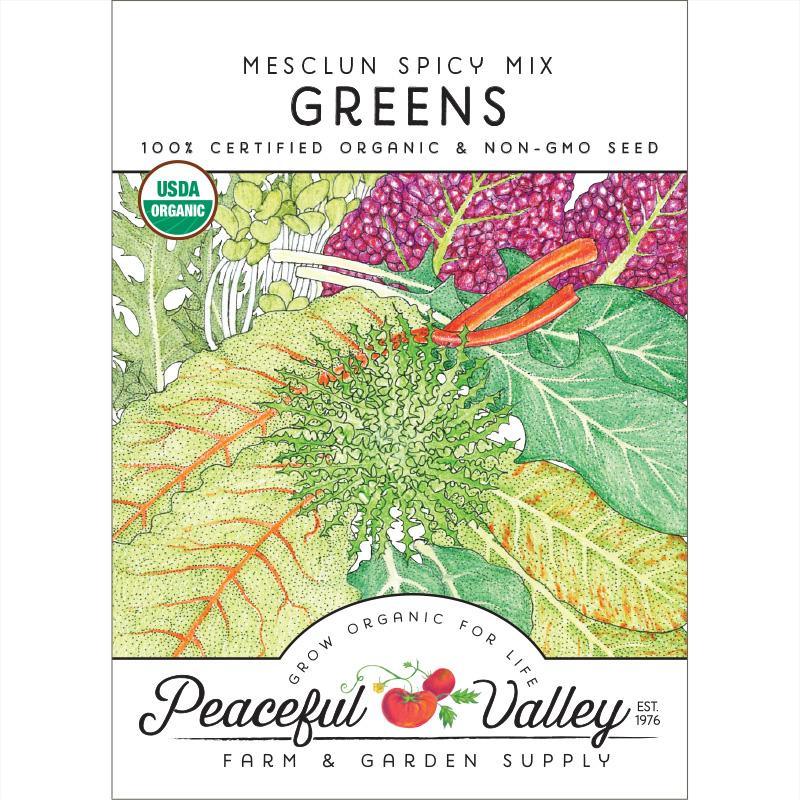 Mesclun Spicy Mix Greens Seeds (Organic)