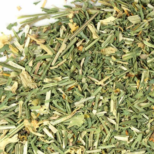 California Poppy Plant for Tea - Organic - Concordia Style Boutique