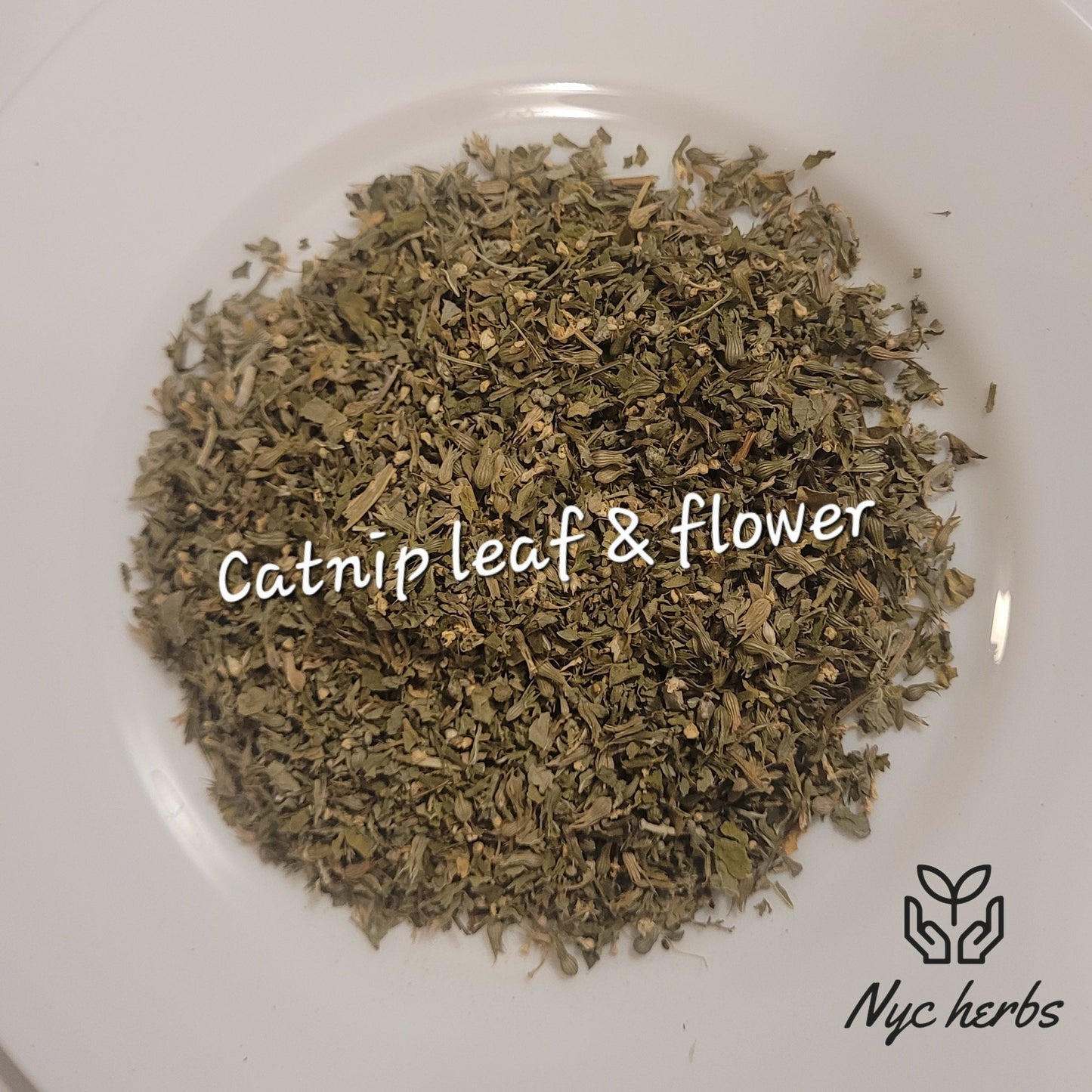 Catnip | Relaxation & Digestive Ease