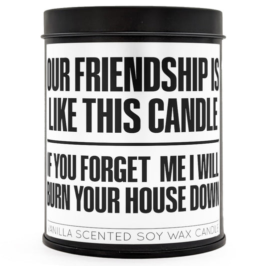 Our Friendship is Like This Candle Scented Candle - Premium Candle from The Original Underground - Just $15.99! Shop now at Concordia Style Boutique