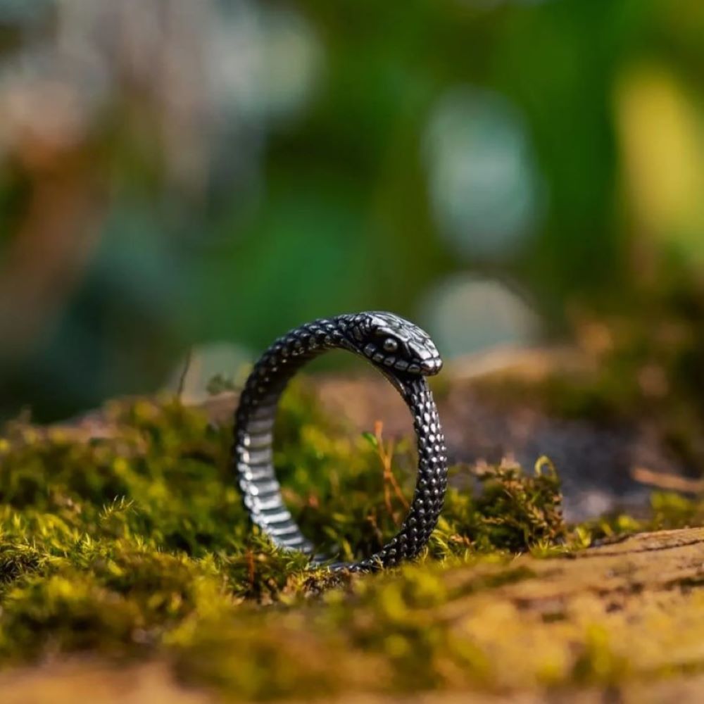 Ouroboros Snake Stainless Steel Ring