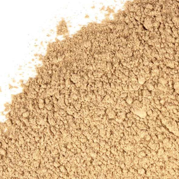 Dandelion Root - Organic - Concordia Style Boutique