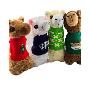 Descriptive image text