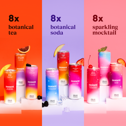 bestsellers (sparkling & still mocktail | 24 pack) - Concordia Style Boutique