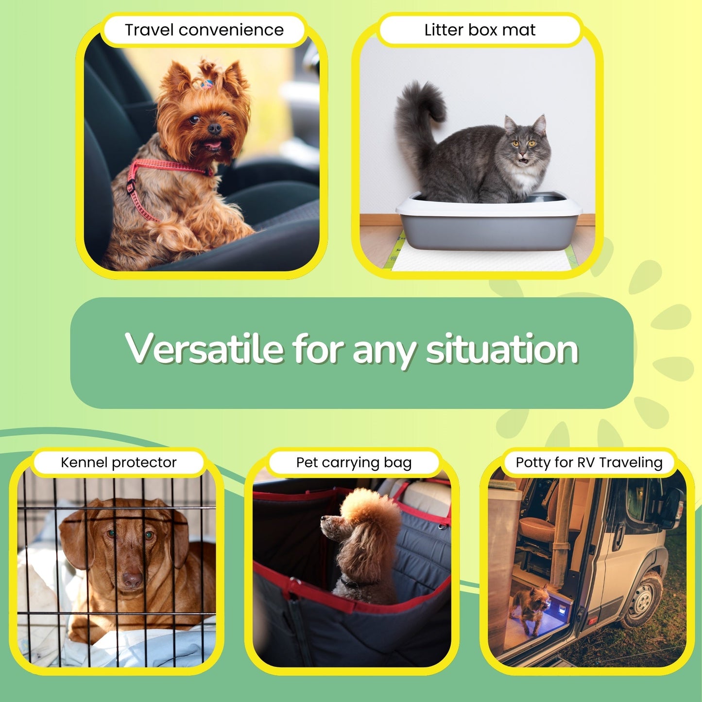 Pee Pads for Dogs