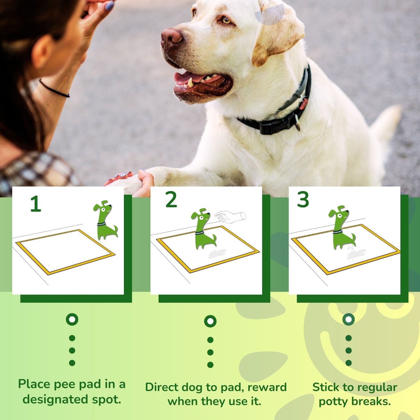 Pee Pads for Dogs