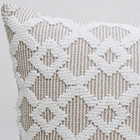 Decorative Accent Throw Pillow  20"x20"
