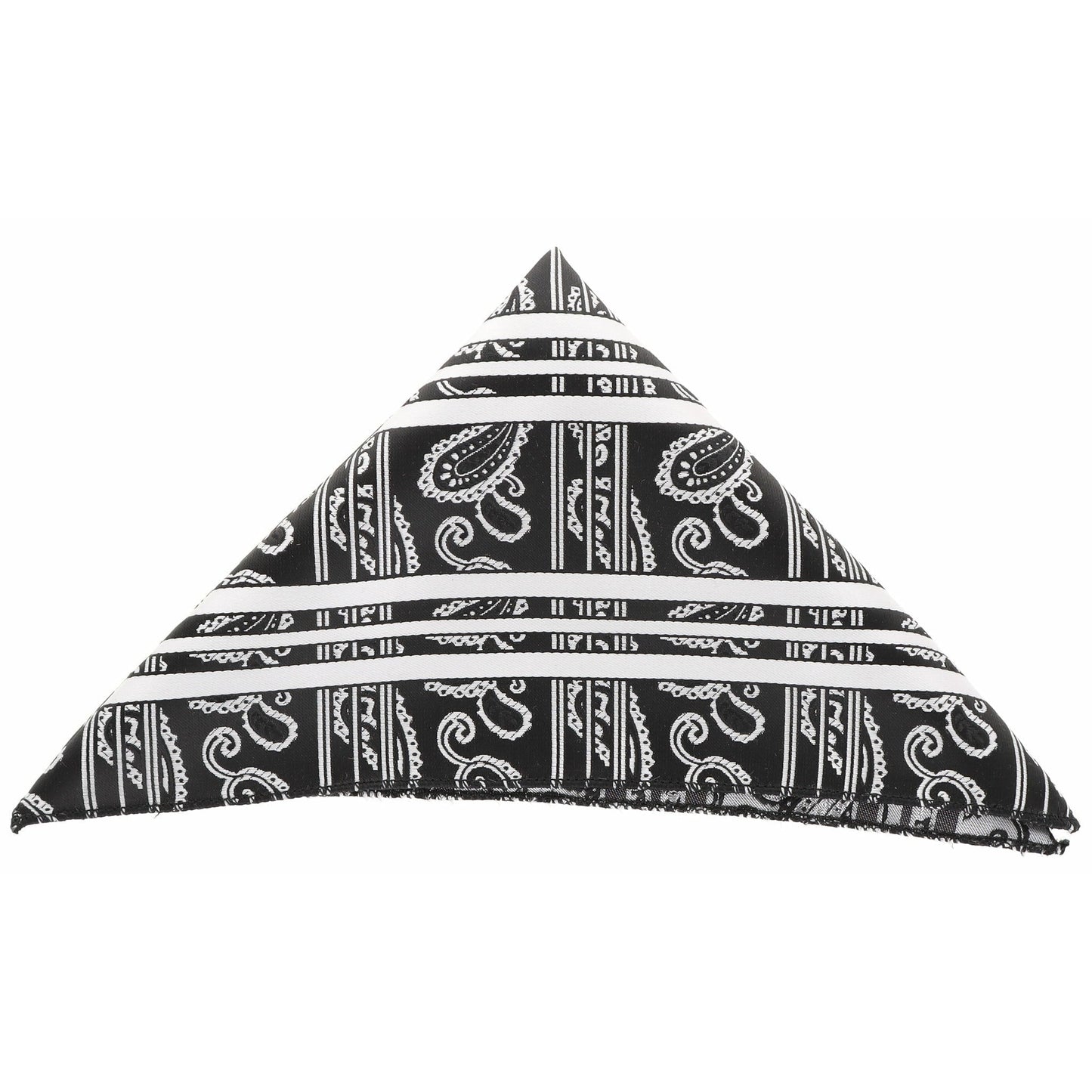 Vittorio Farina Men's Paisley Design Microfiber Pocket Square