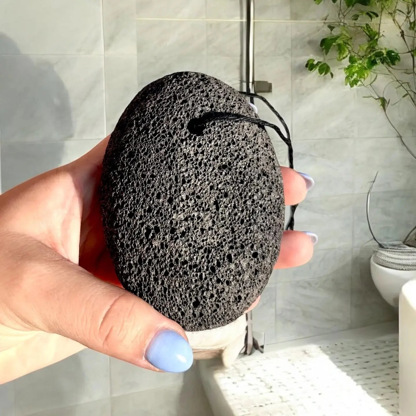 Pumice Lava Stone - Concordia Style Boutique