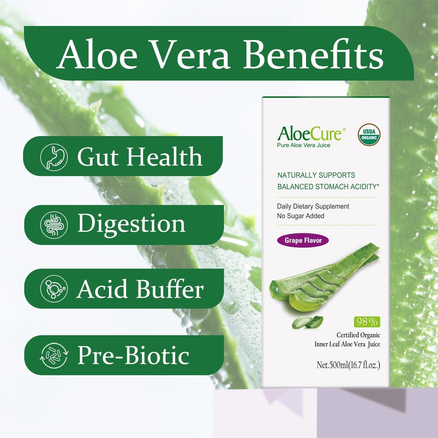 Pure Aloe Vera Juice Grape Flavor - USDA Certified Organic - Concordia Style Boutique