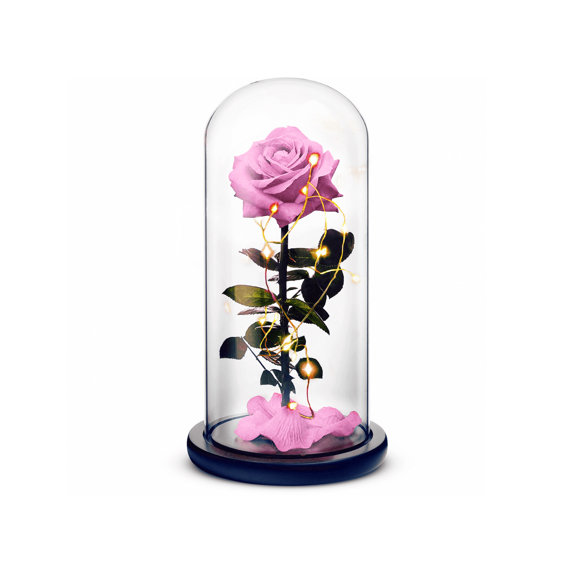 Beauty and The Beast Rose (Pink) - Concordia Style Boutique