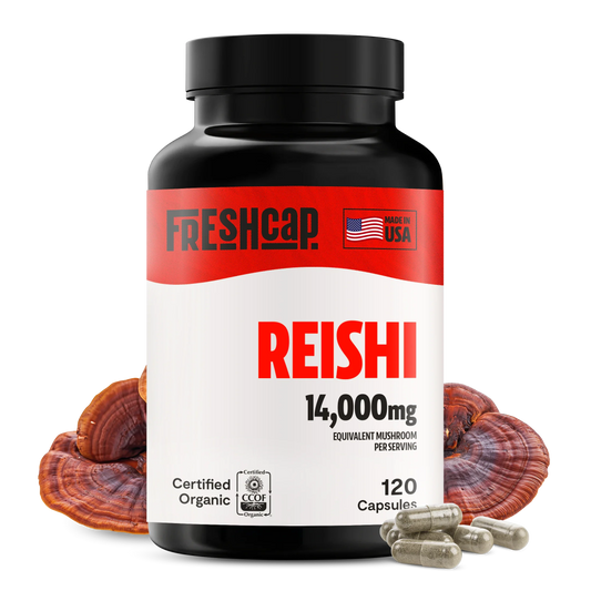 Reishi Mushroom Extract Capsules - Concordia Style Boutique