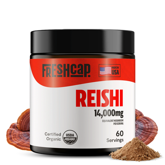 Reishi Mushroom Extract Powder - Concordia Style Boutique