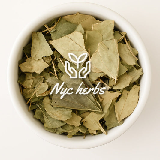 Mango Leaf | Blood Sugar Balance & Circulatory Support