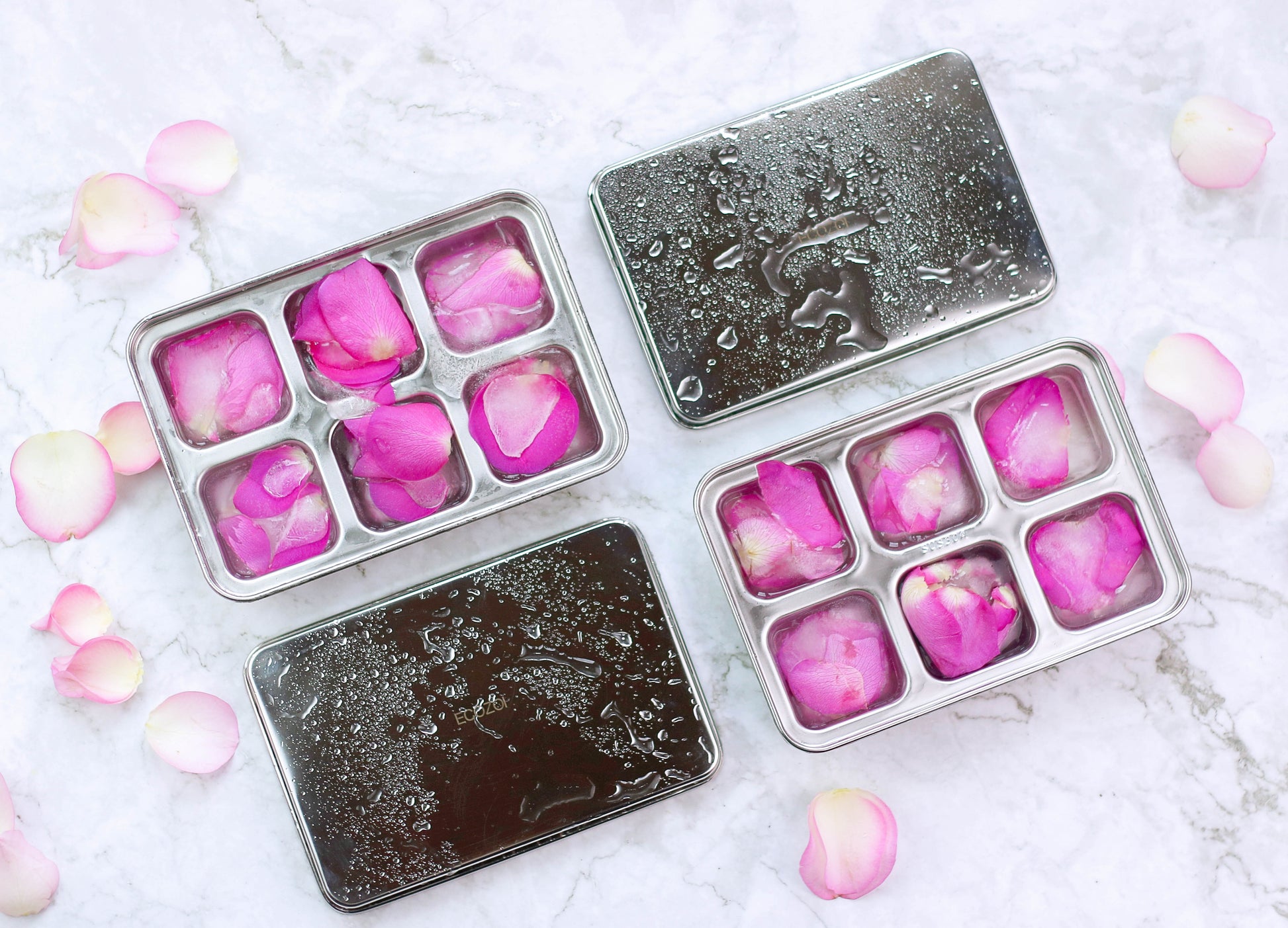 STAINLESS STEEL ICE CUBE TRAYS, 12 Large Cubes, 2 PACK - Concordia Style Boutique