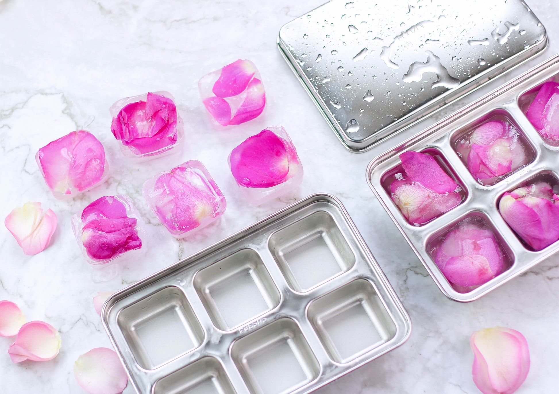STAINLESS STEEL ICE CUBE TRAYS, 12 Large Cubes, 2 PACK - Concordia Style Boutique