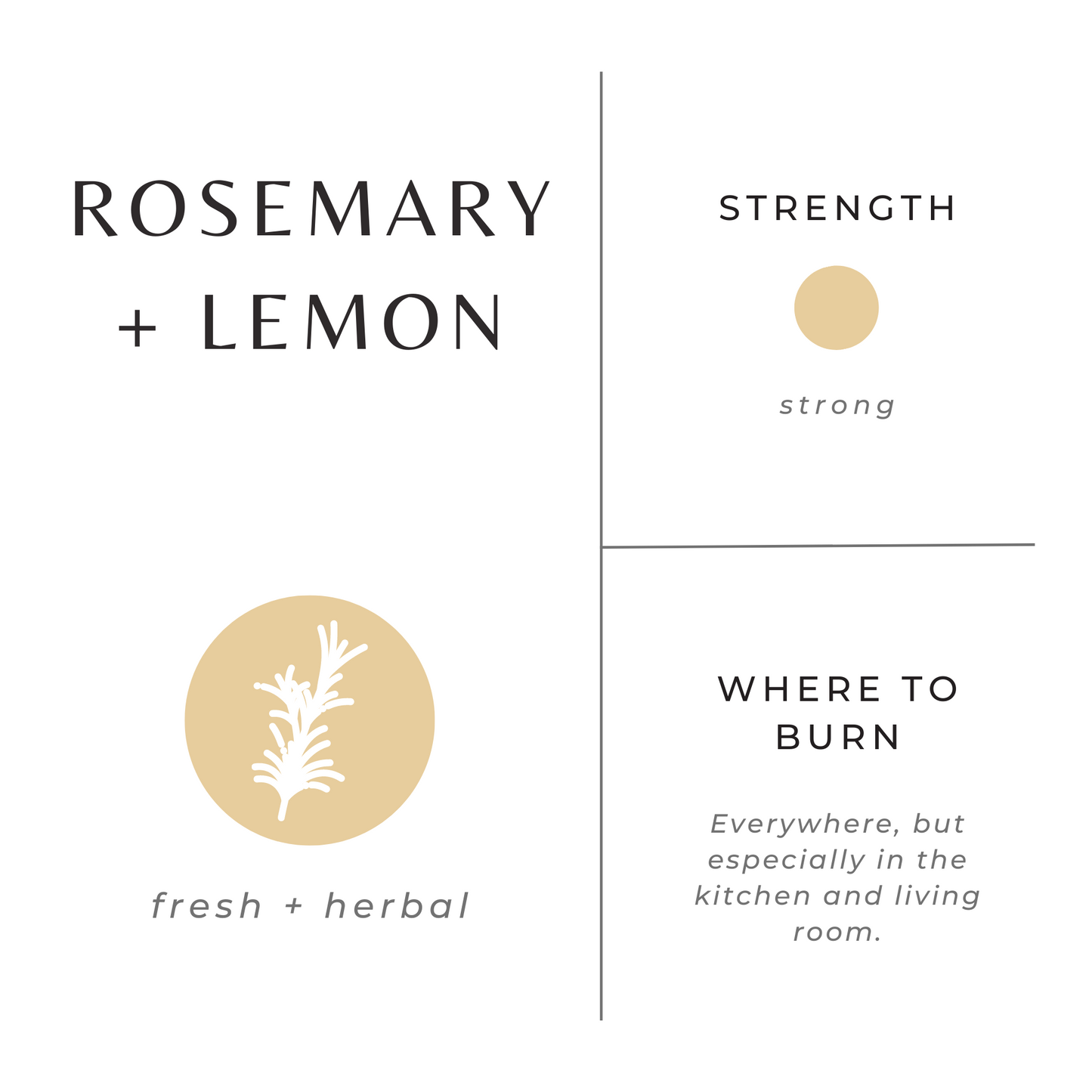 Rosemary + Lemon - Signature Candle - Concordia Style Boutique