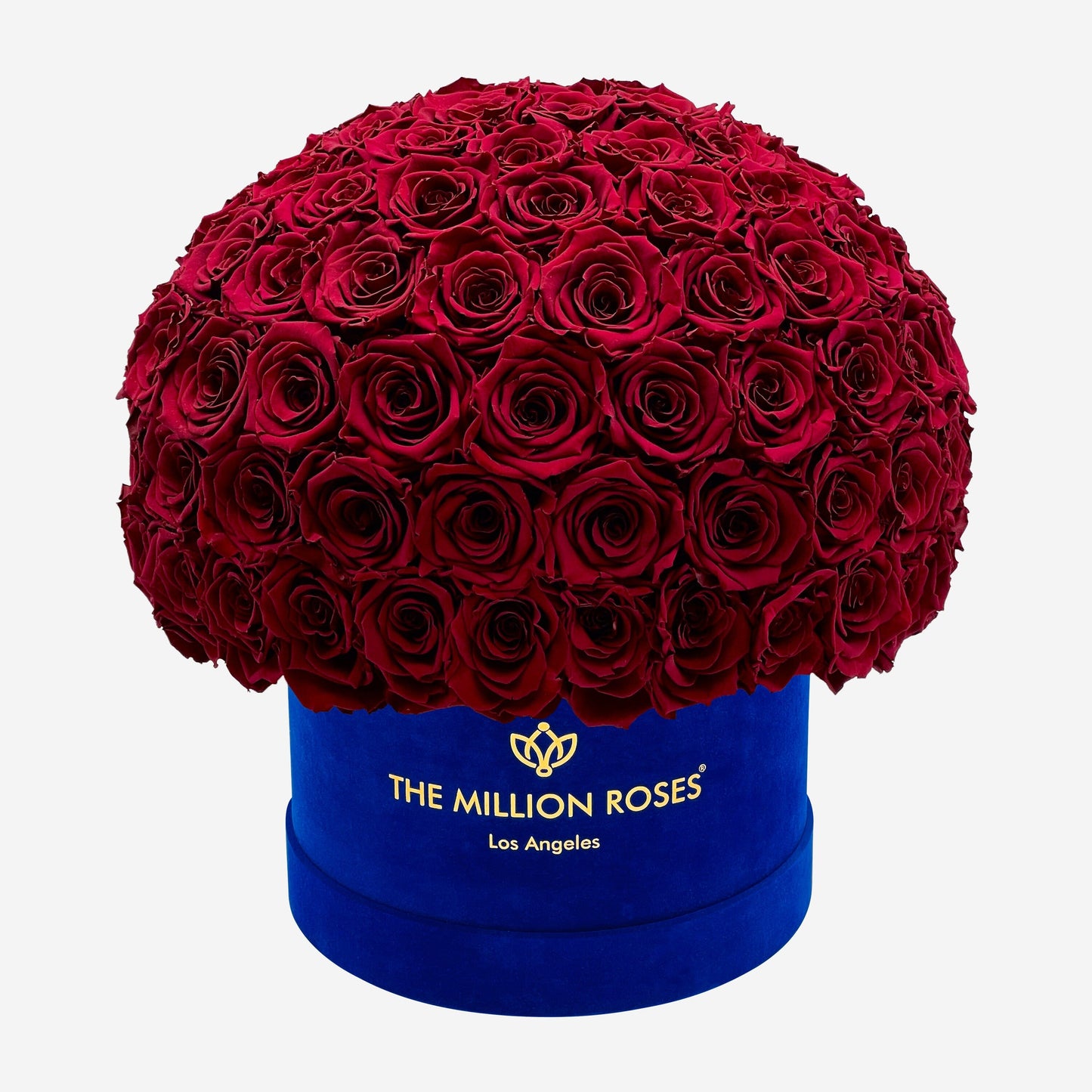 Supreme Royal Blue Suede Superdome Box | Burgundy Roses