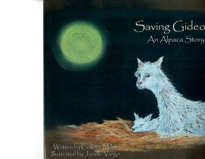 Descriptive image text