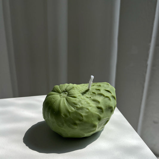 Cherimoya Candle - Concordia Style Boutique
