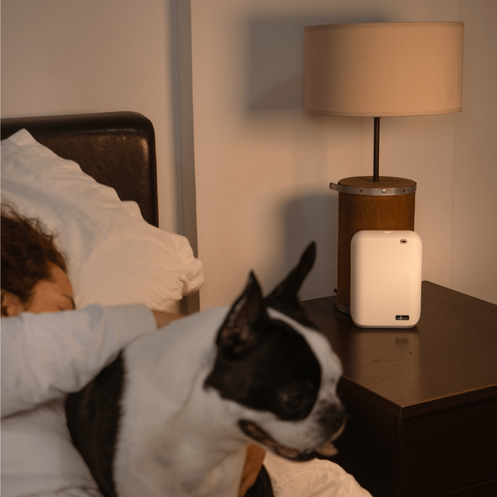 ARO X25 - Bluetooth Smart Scent Diffuser up to 1,000 Sqft. - Concordia Style Boutique