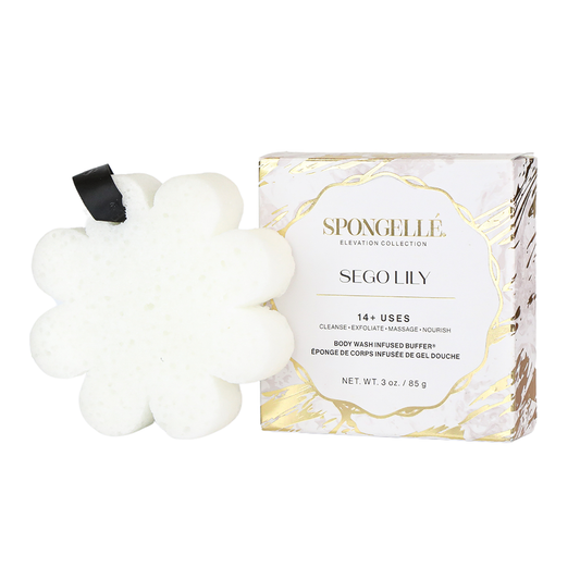 Sego Lily | Elevation Boxed Flower - Concordia Style Boutique
