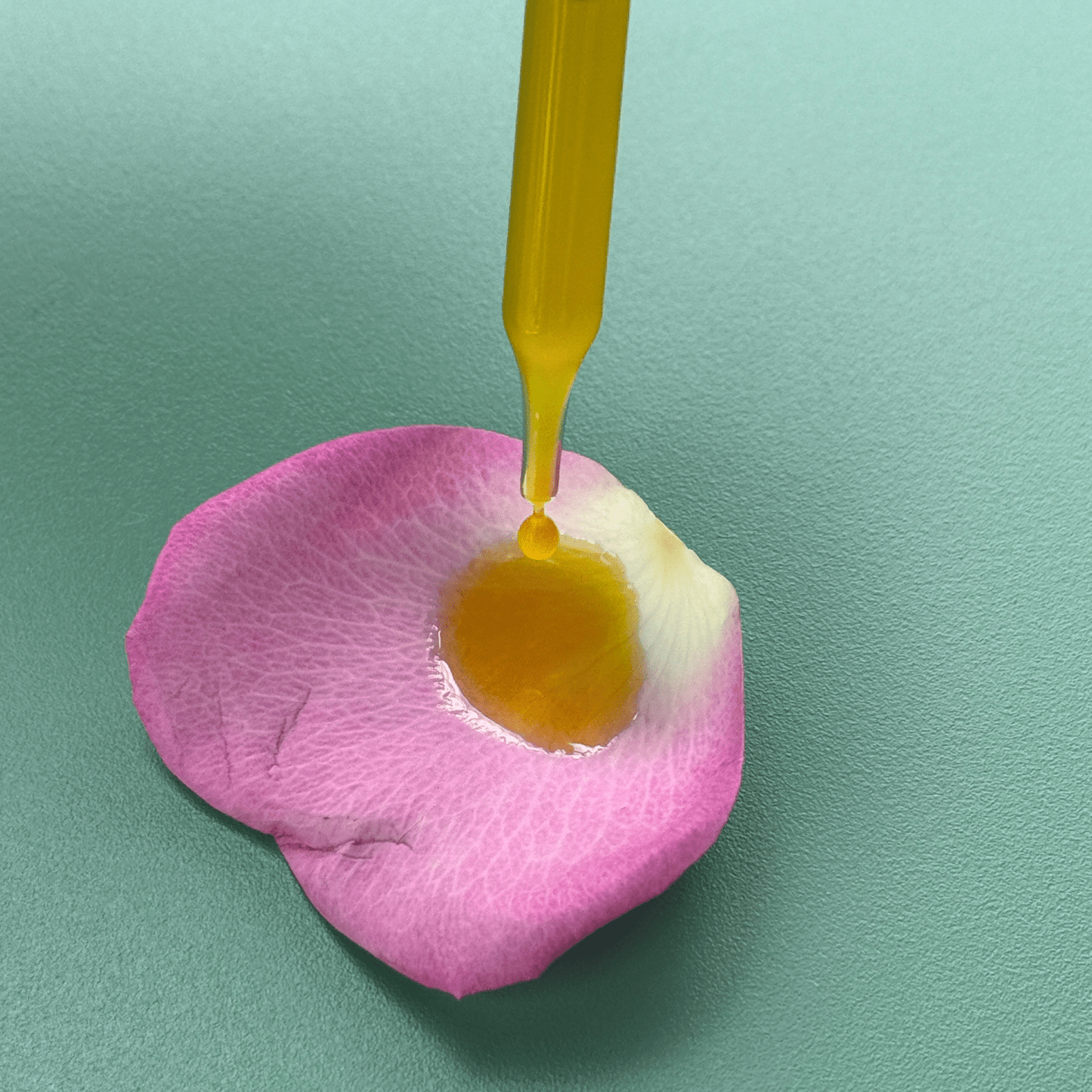 Serenity Calming Facial Serum - Concordia Style Boutique