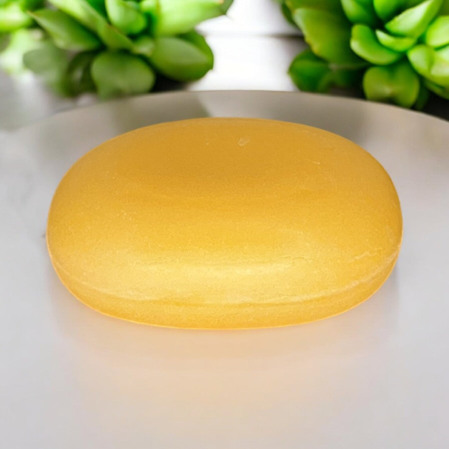 Shampoo Bar | Lime - Concordia Style Boutique