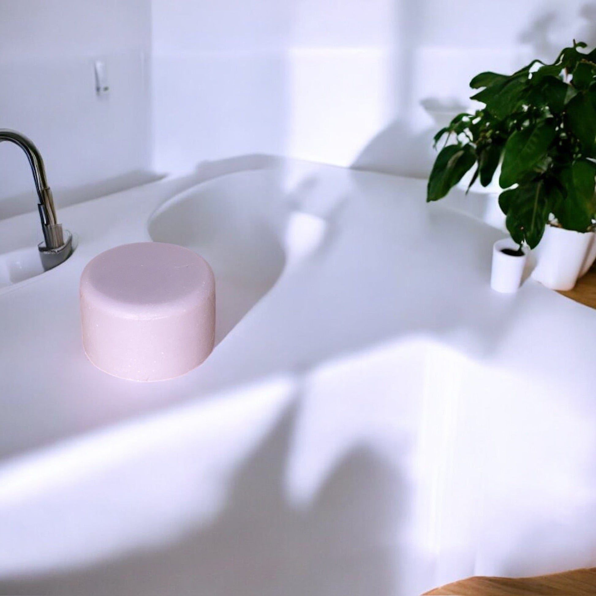 Shampoo & Conditioner | 2 in 1 | Lavender - Concordia Style Boutique