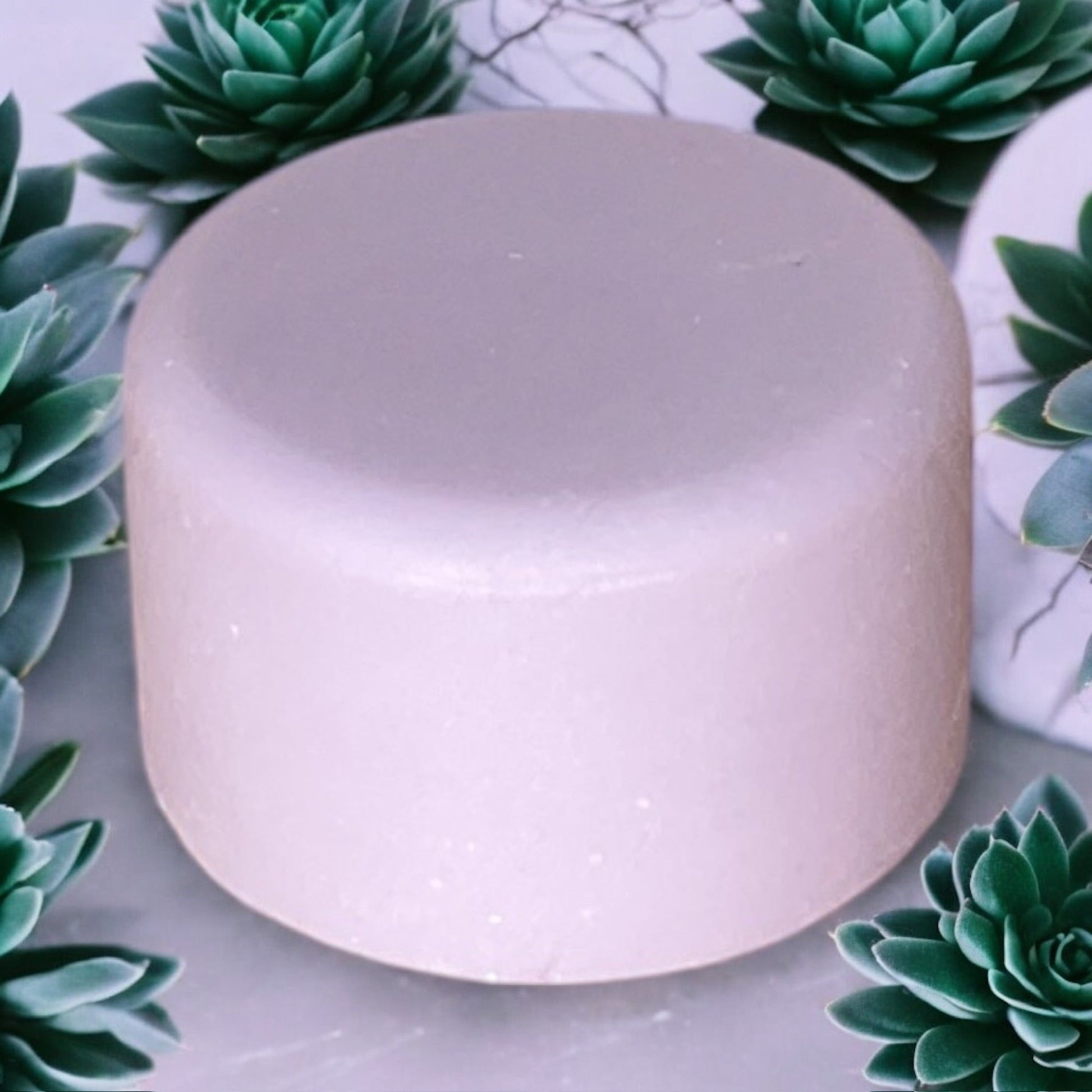 Shampoo & Conditioner | 2 in 1 | Lavender - Concordia Style Boutique