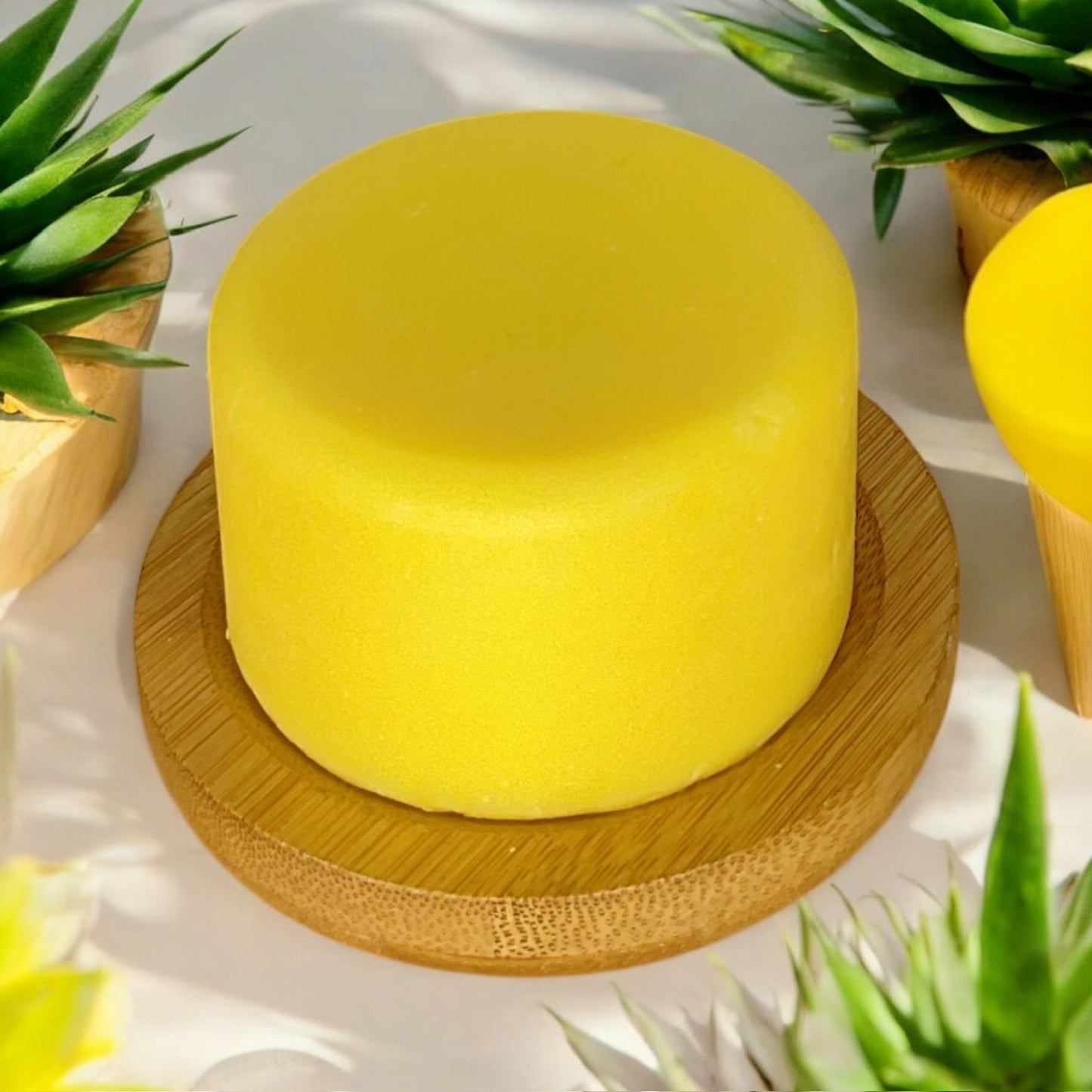 Shampoo & Conditioner | 2 in 1 | Turmeric - Concordia Style Boutique