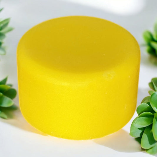 Shampoo & Conditioner | 2 in 1 | Turmeric - Concordia Style Boutique