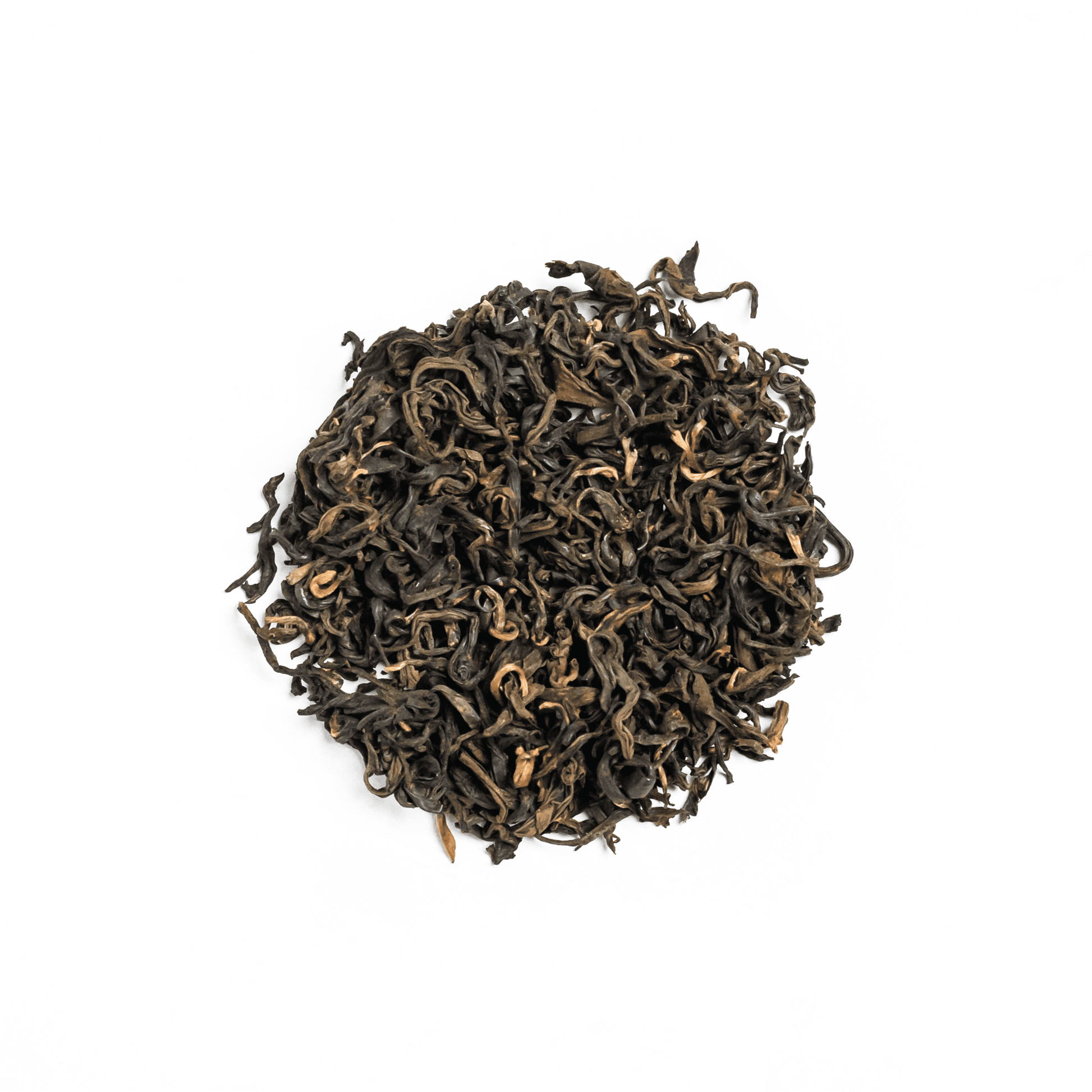 Shangri-La Oolong - Concordia Style Boutique