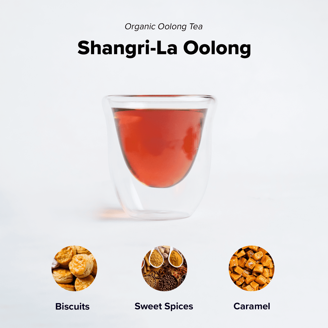 Shangri-La Oolong - Concordia Style Boutique