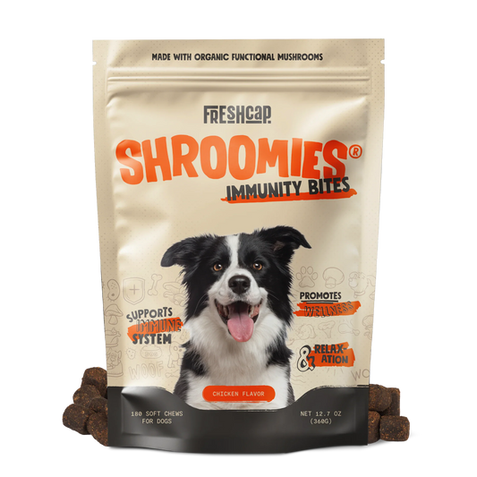 Shroomies® - Mushrooms For Dogs - Concordia Style Boutique