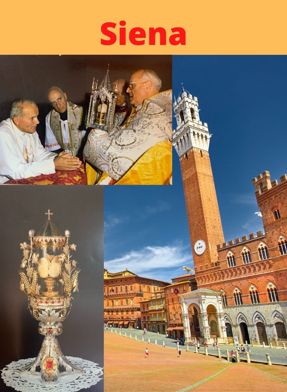 Miracles of the Eucharist Best Seller Books I and II and DVD Free Shipping
