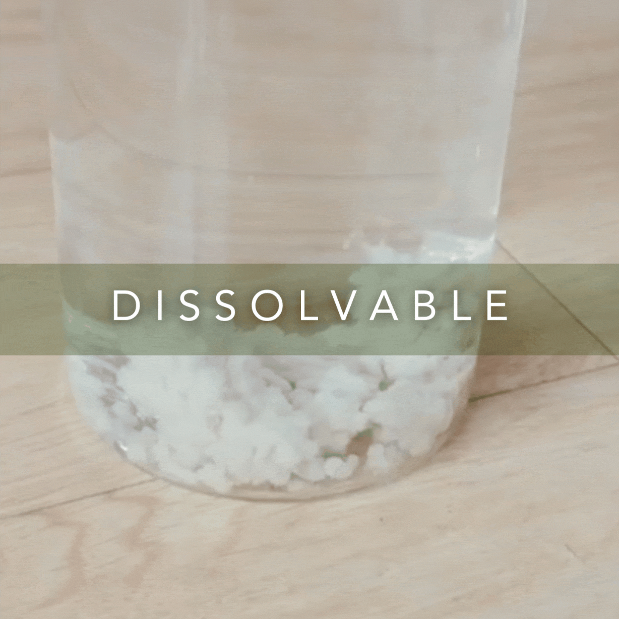 All-Natural, Non-Toxic Plant-Based Cat Litter - 1 Pack (Collective)