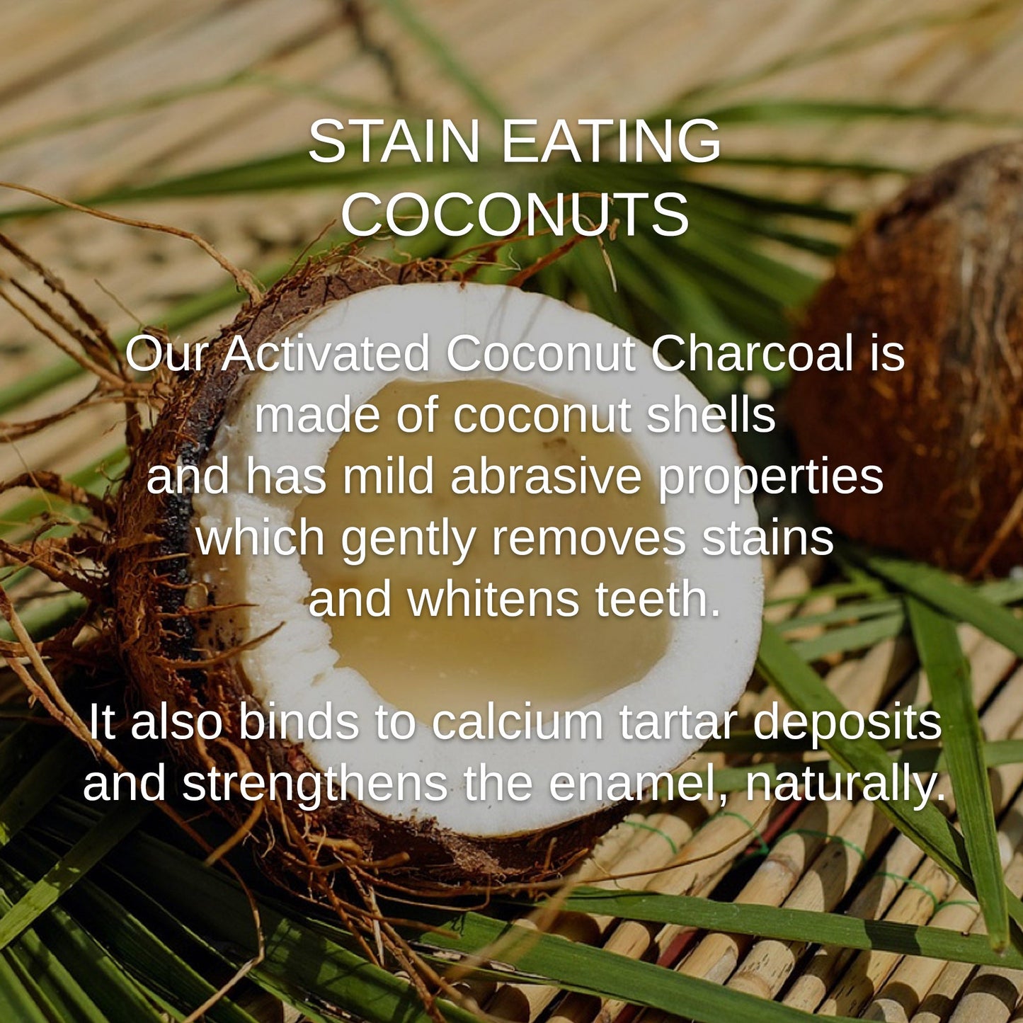 Shwally Fresh & So Clean Mouth Bundle @ 20% Off