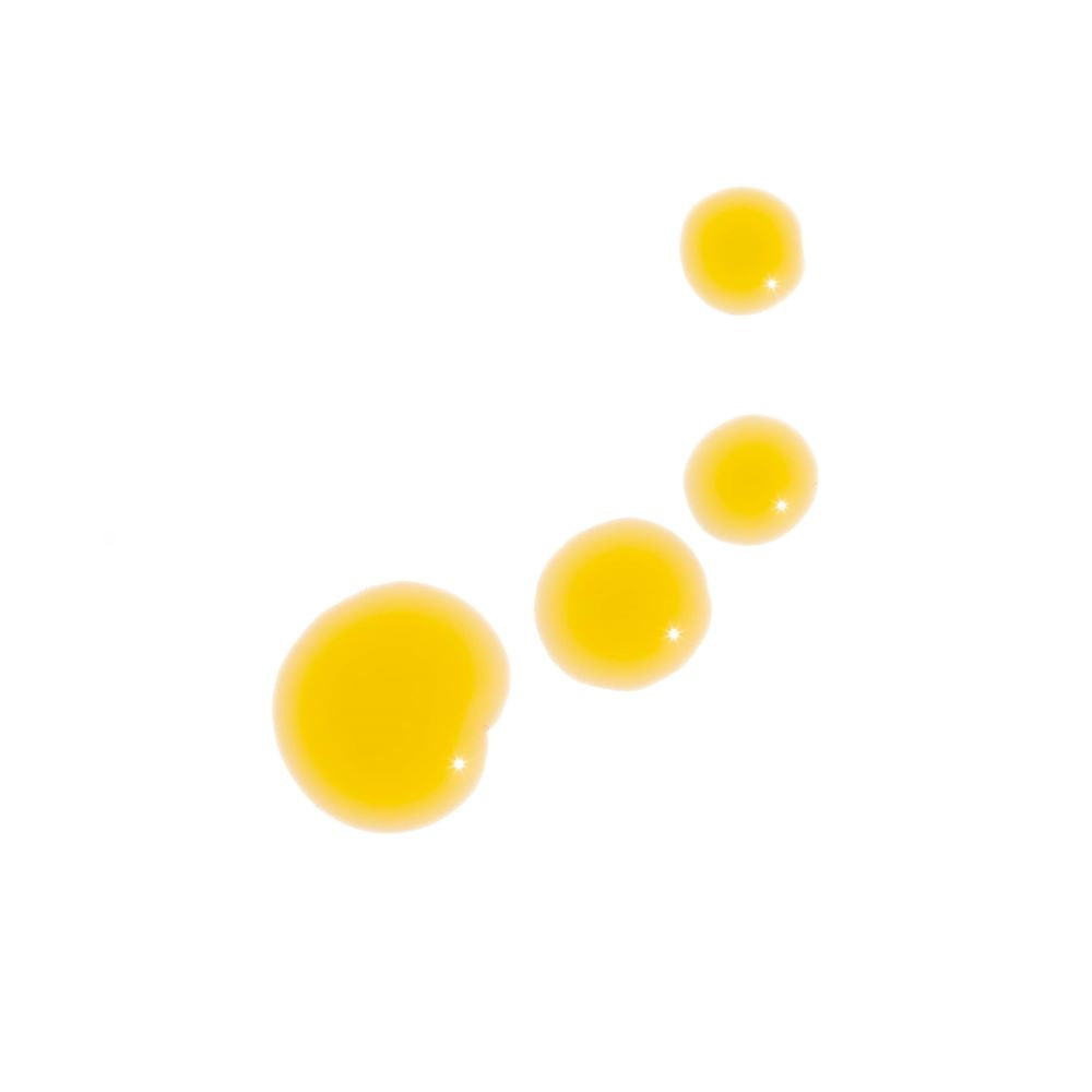 Sun Worshiper Regenerative Serum - Concordia Style Boutique