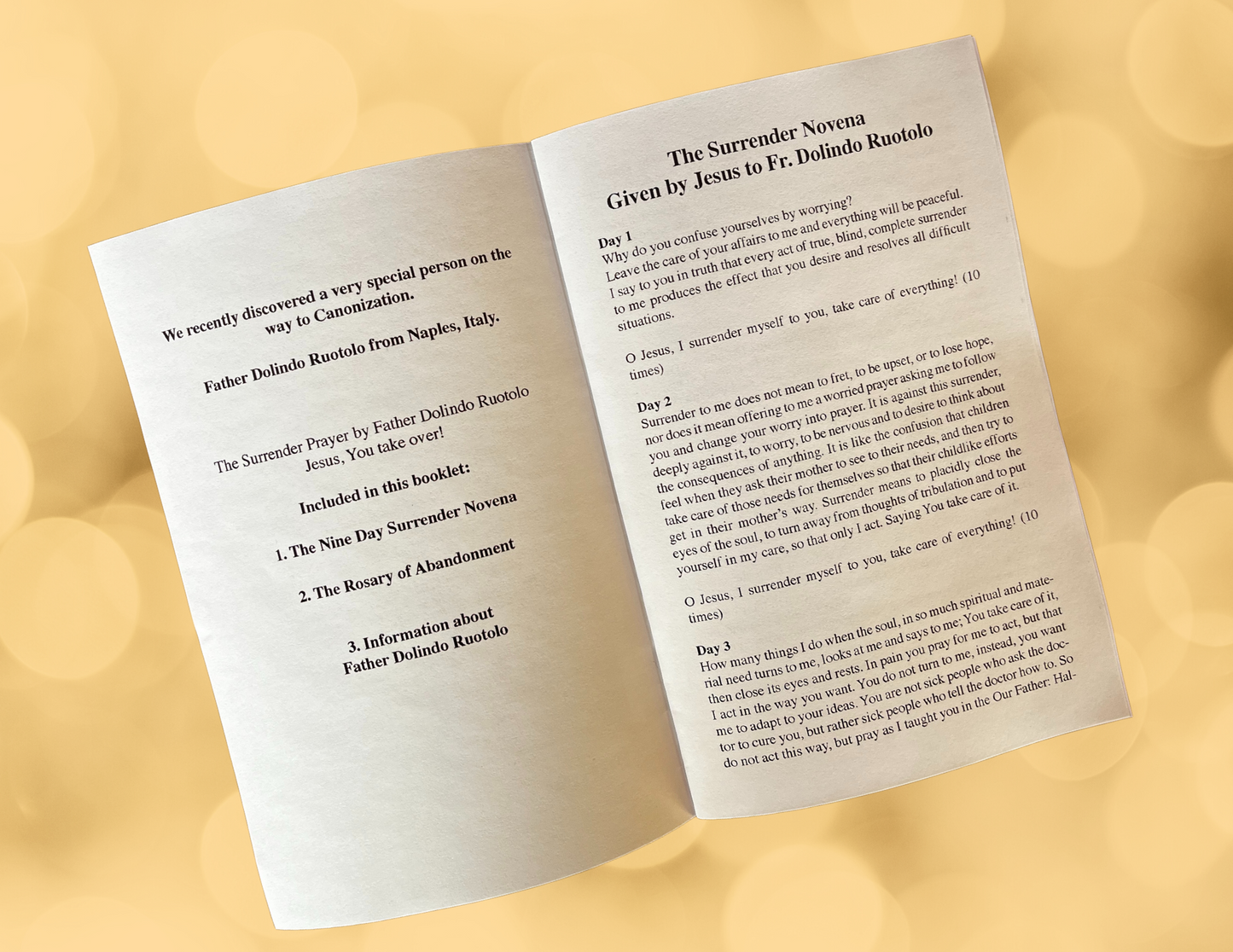 The Surrender Novena Booklet