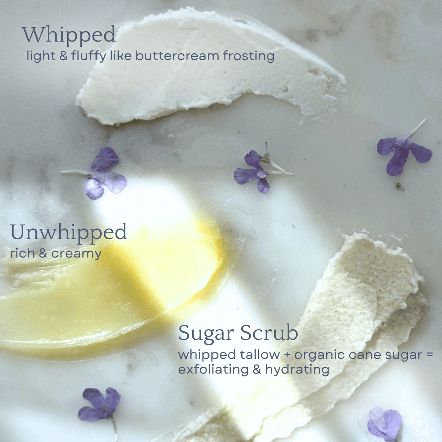 Capsule Skincare Kit - Concordia Style Boutique