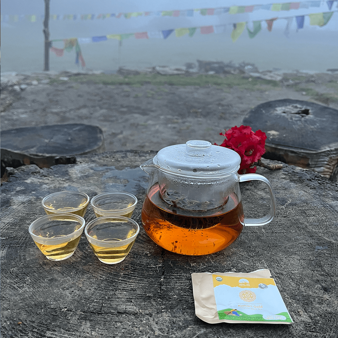 The Tea Explorer Set - Concordia Style Boutique