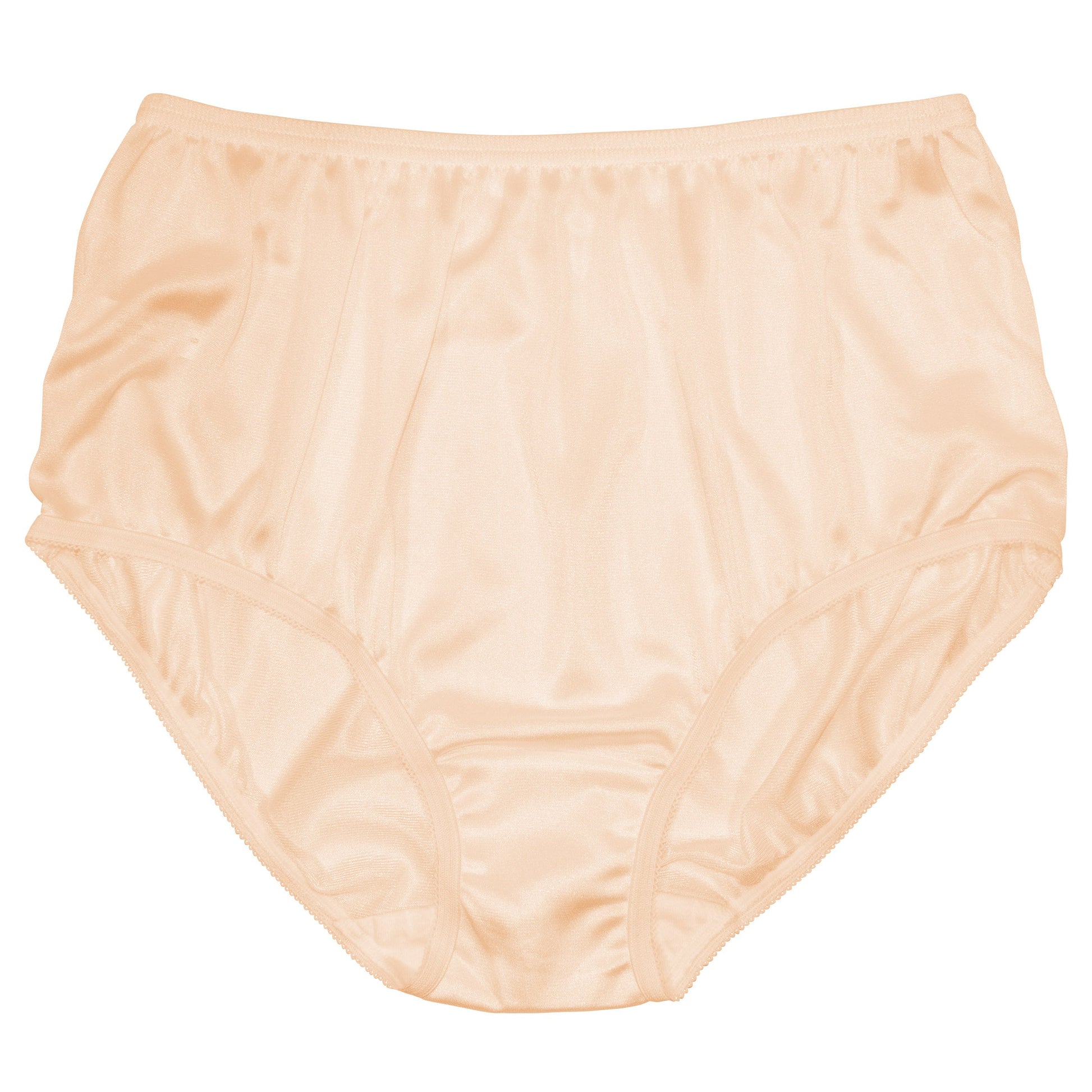 Nylon Brief Panty (Style 331/Plain Jane) 4 Pack in Beige - Concordia Style Boutique