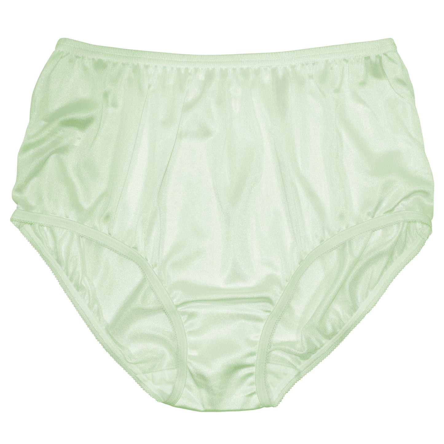 Nylon Brief Panty (Style 331/Plain Jane) 4 Pack in Seafoam Green - Concordia Style Boutique