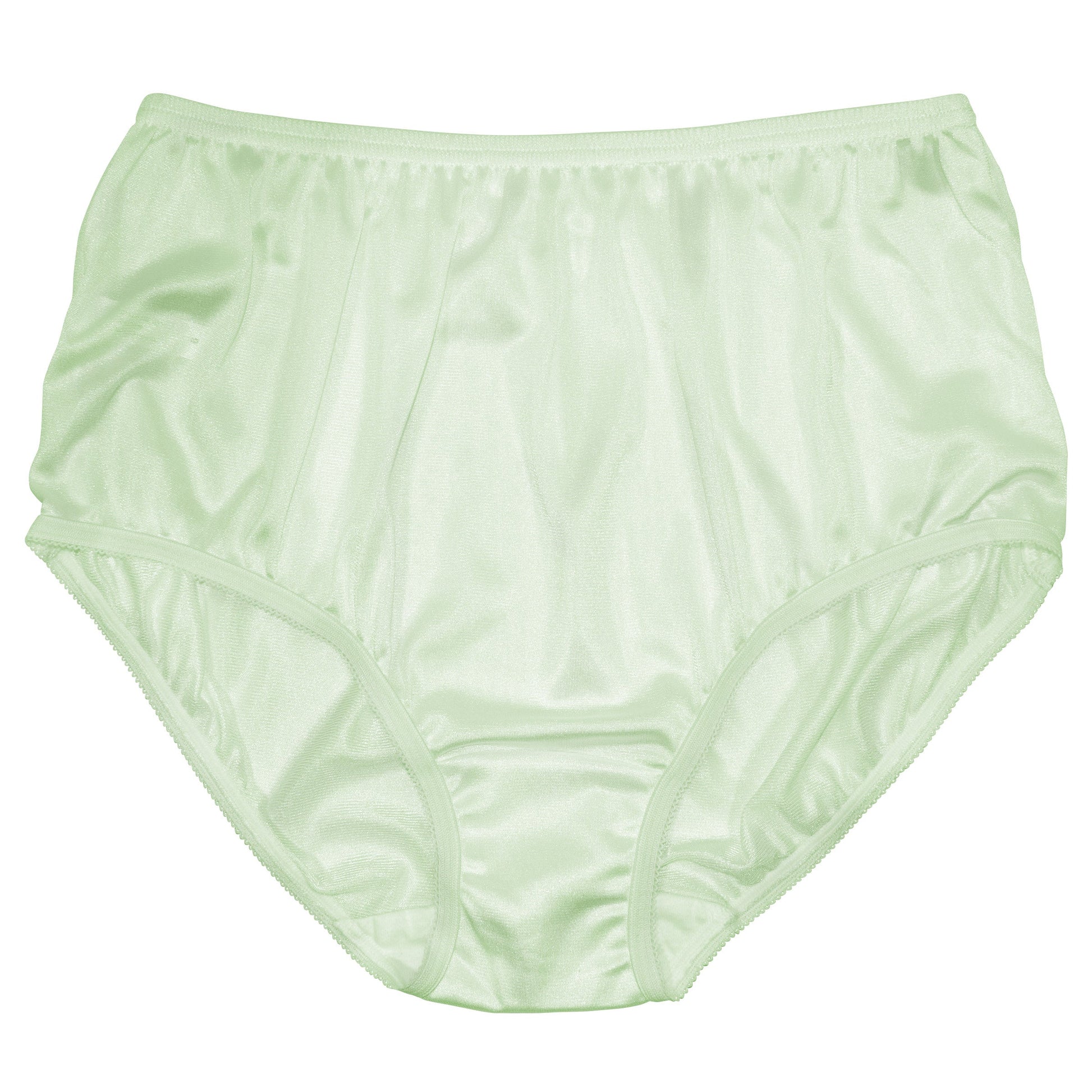 Nylon Brief Panty (Style 331/Plain Jane) 4 Pack in Seafoam Green - Concordia Style Boutique