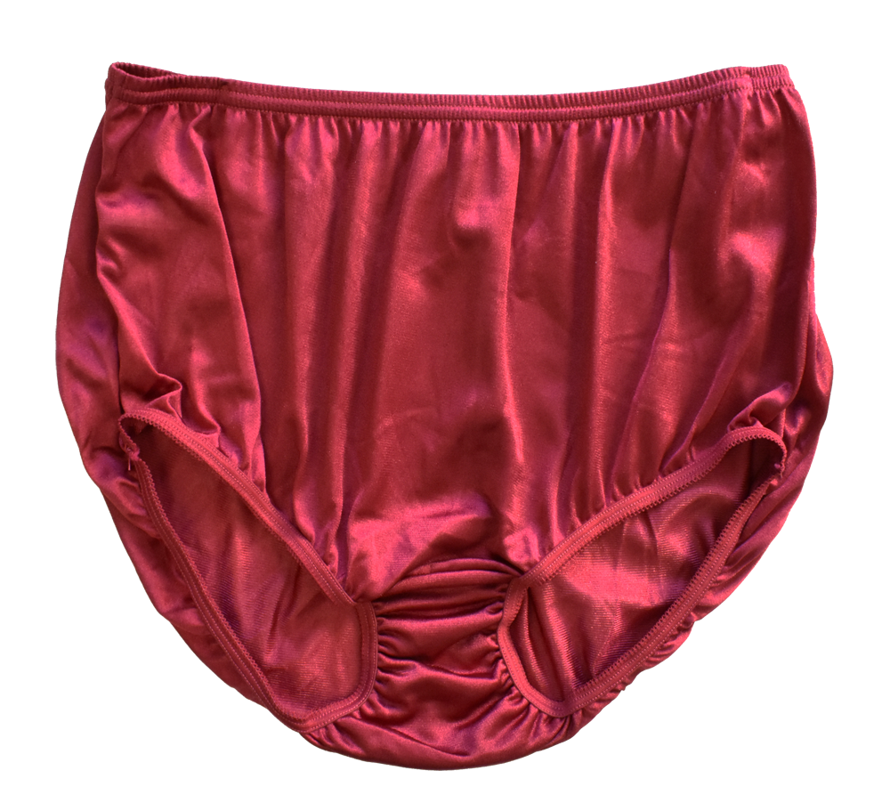 Nylon Brief Panty (Style 331/Plain Jane) 4 Pack in Wine - Concordia Style Boutique